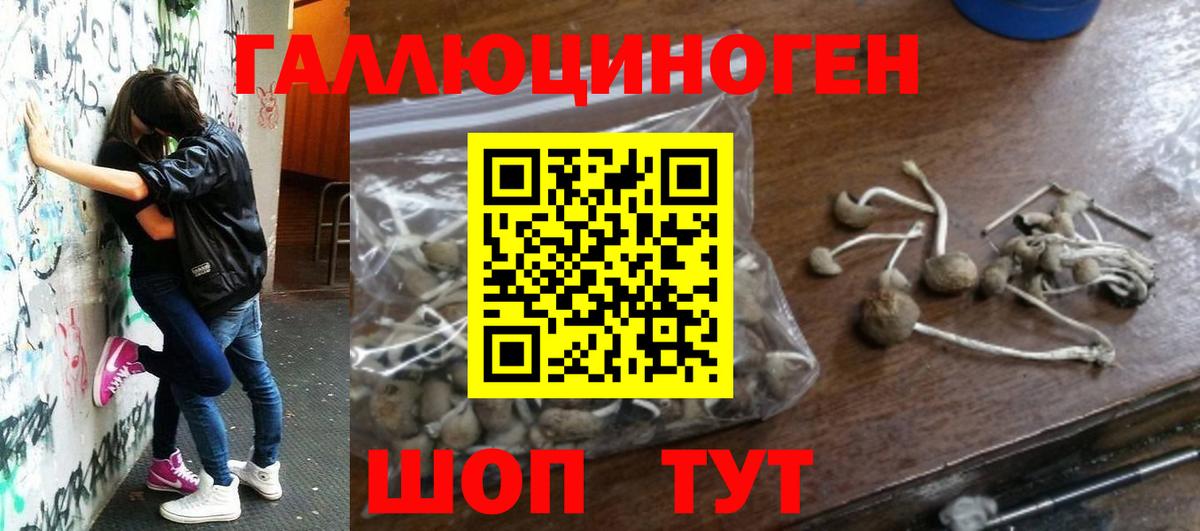 Псилоцибиновые грибы мухоморы Учалы